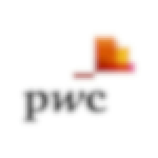 Data Analysis and Presentation Skills: the PwC Approach Specialization