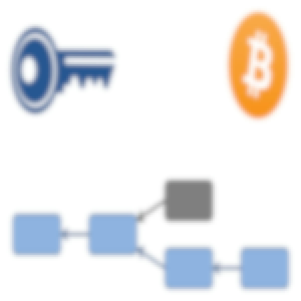 Bitcoin and Cryptocurrency Technologies